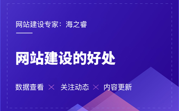 海之睿的網(wǎng)站建設(shè)有那些好處？